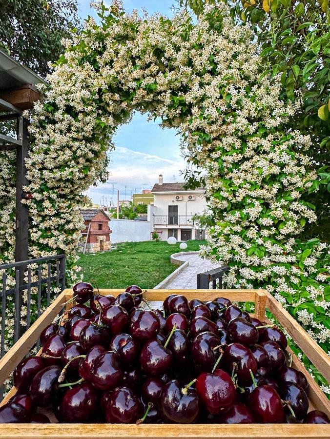 Villa Ardigo - Camera O Appartamento Bari Zewnętrze zdjęcie